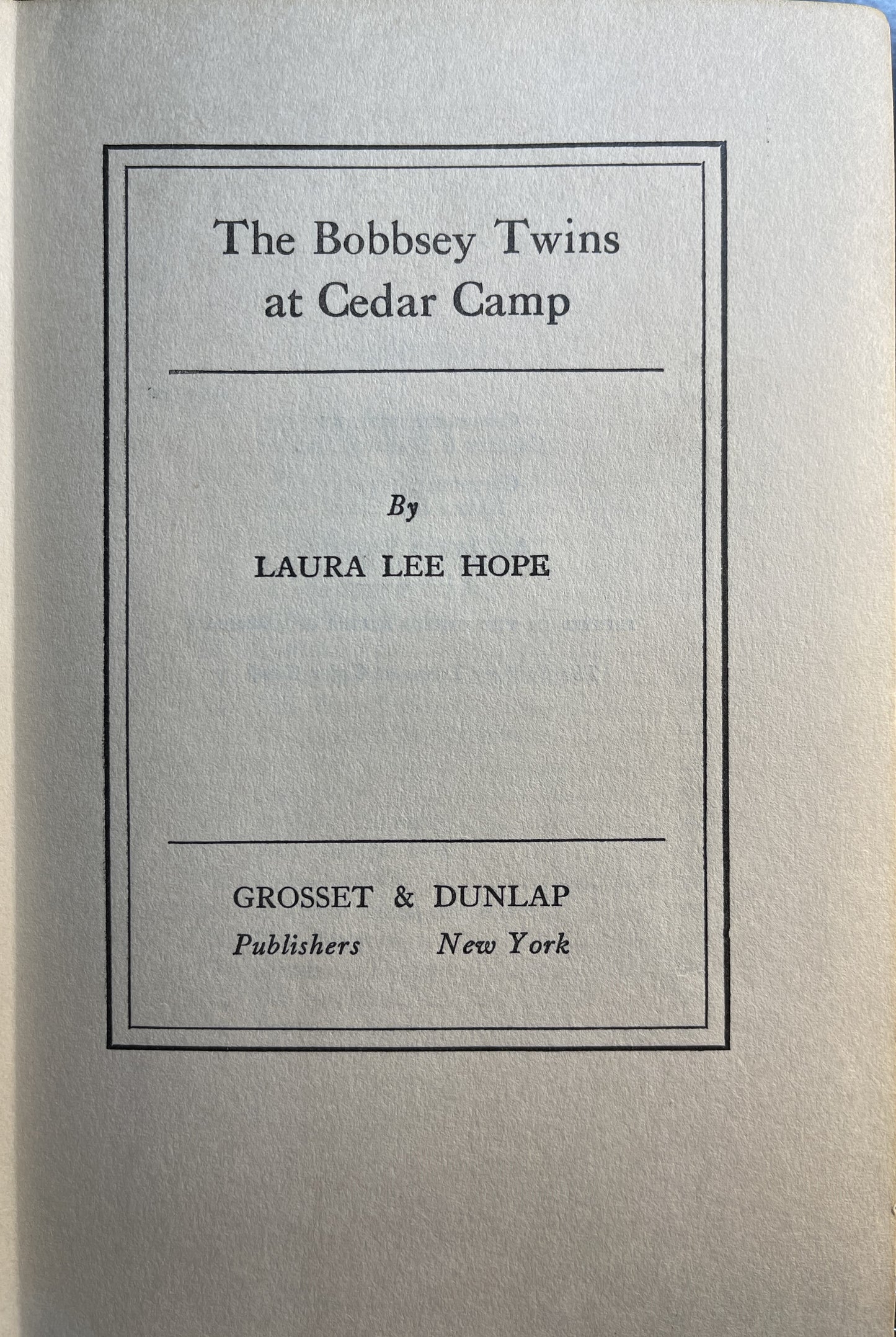 The Bobbsey Twins at Cedar Camp