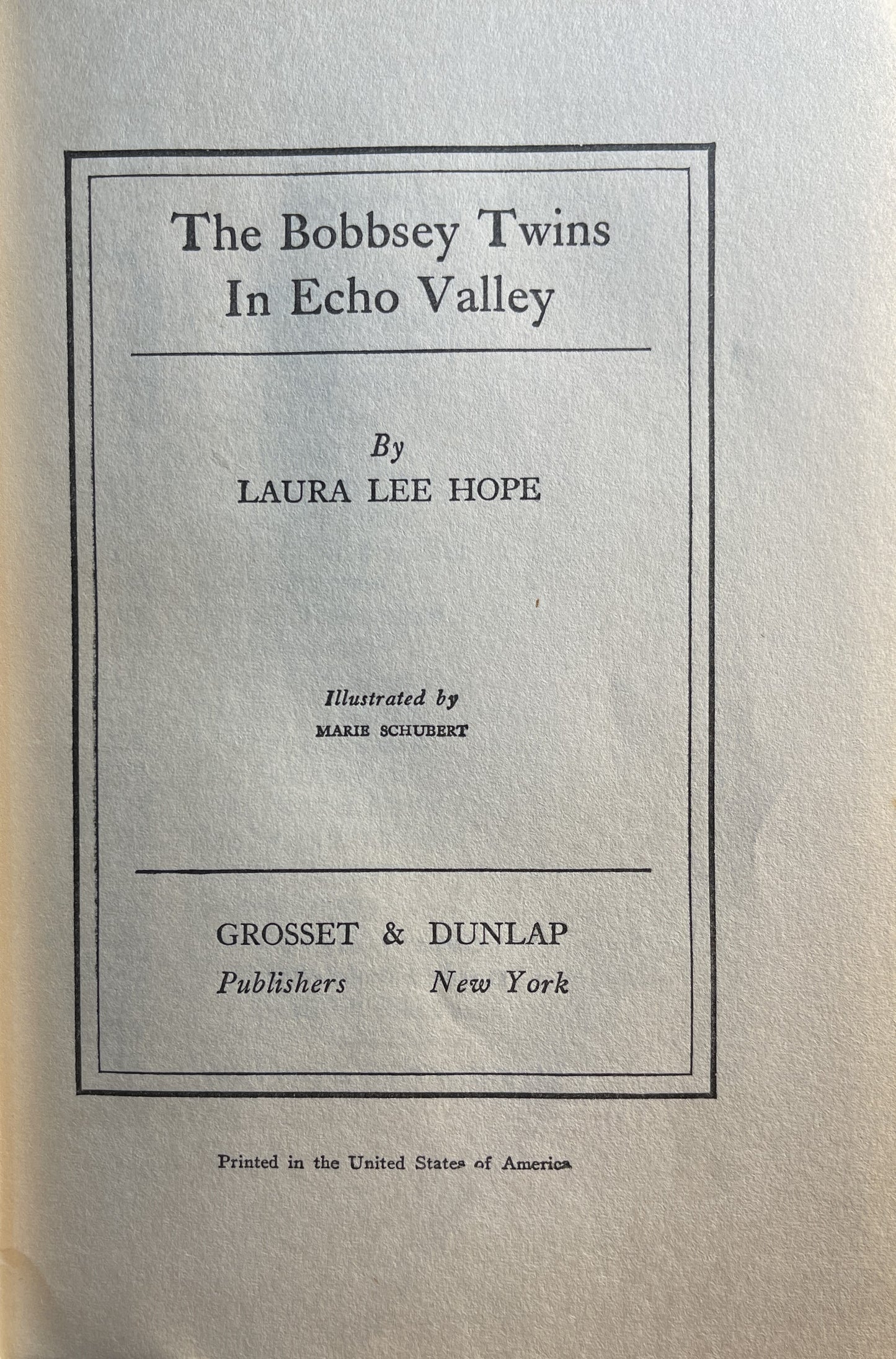 The Bobbsey Twins In Echo Valley