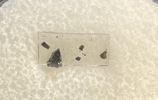 Lunar Meteorite